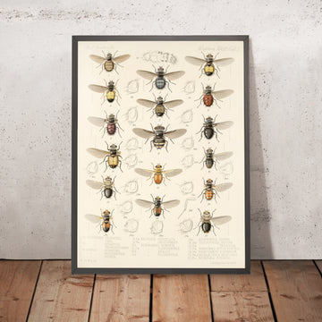 A framed image of 