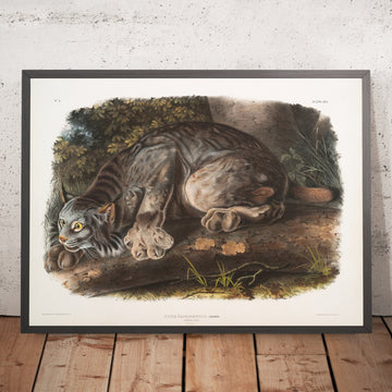 A framed image of 