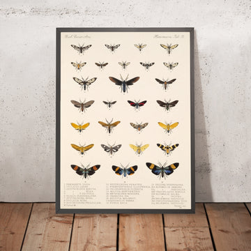 A framed image of 