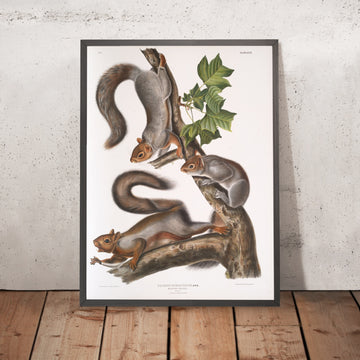 A framed image of 