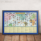 Alte Hunde- und Katzen-Weltkarte von Purina, 1973: Globale Rassen, Haustierkultur der 1970er Jahre 