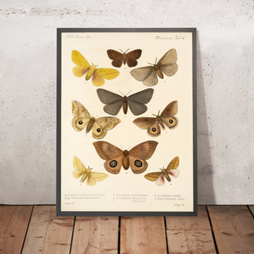 A framed image of 