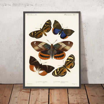 A framed image of 