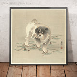 Puppy by Ohara Koson, 1900