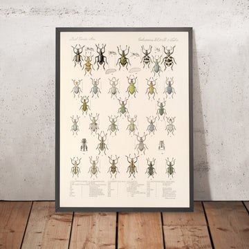 A framed image of 