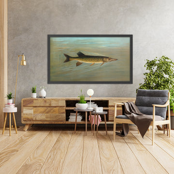 A framed image of 