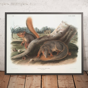 A framed image of 