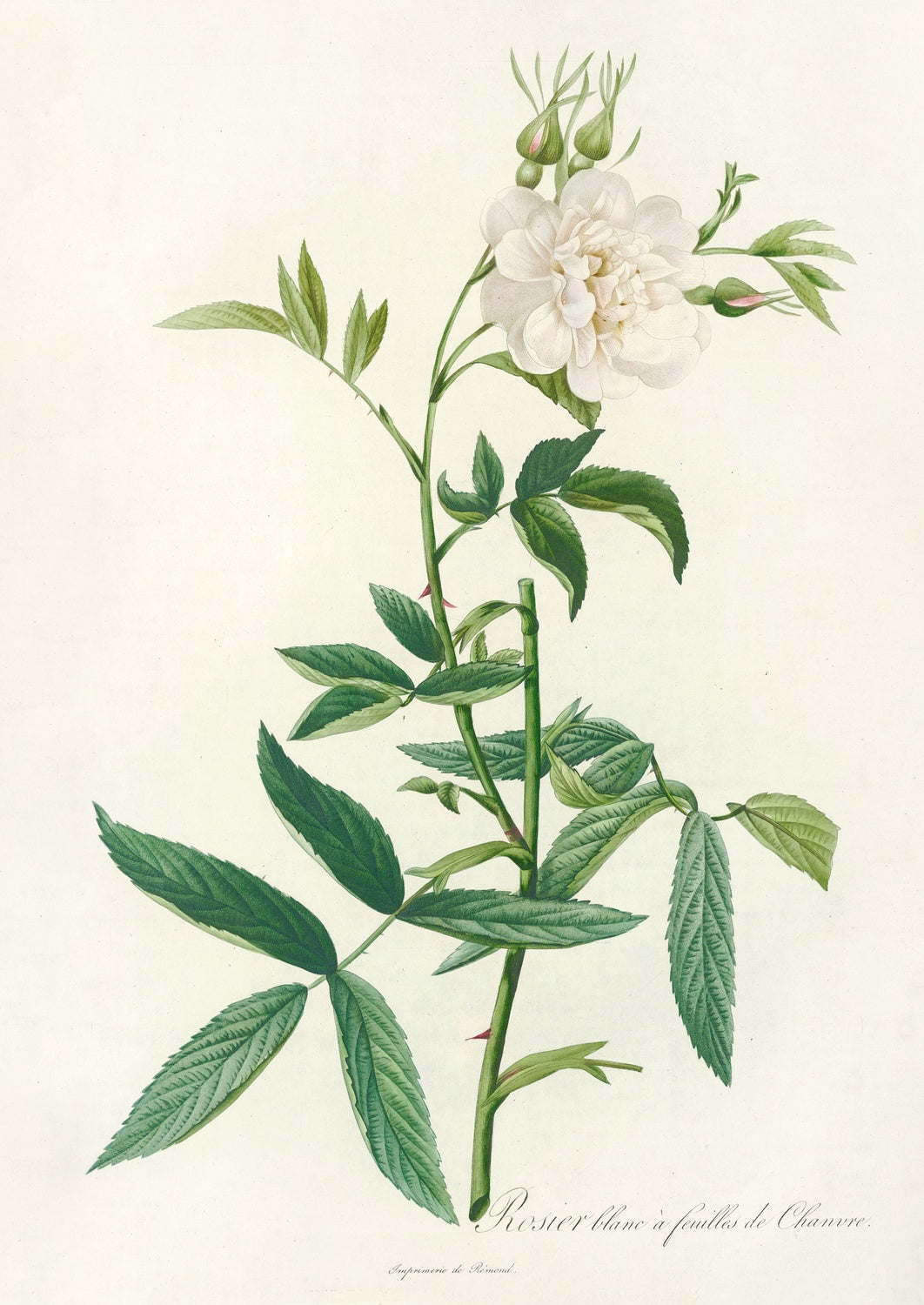 Artwork preview