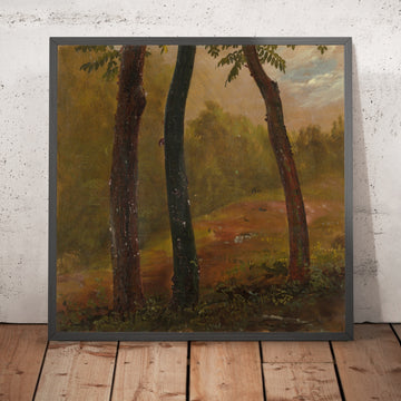 A framed image of 
