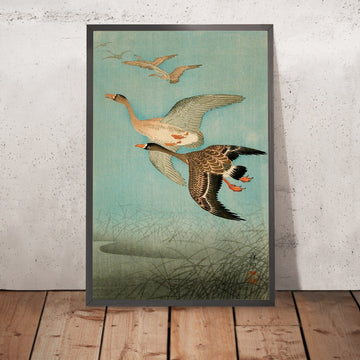 A framed image of 