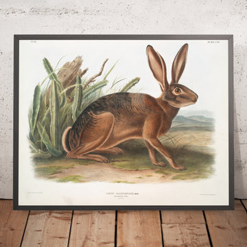 A framed image of 