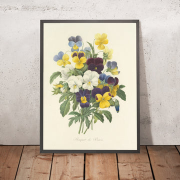 A framed image of Bouquet of Pansies (Plate 67) by Pierre Joseph Redouté, 1827