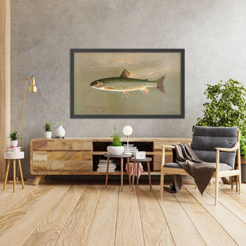 A framed image of 