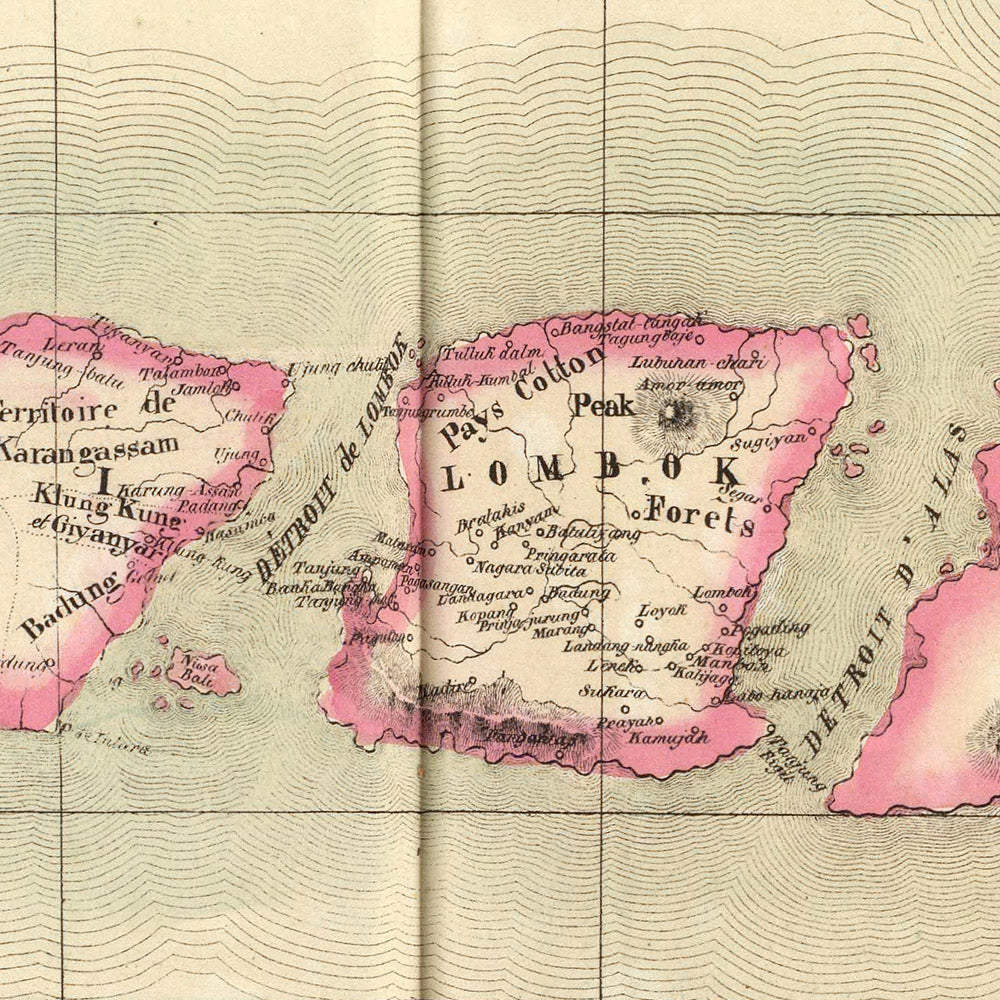 Old Map of Bali, Lombok, Komodo, Sumbawa and Part of Java by Delavault, 1827: Surabaya, Denpasar