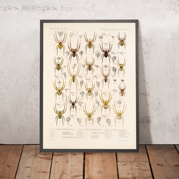 A framed image of 