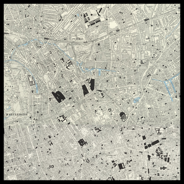 An old Ordnance Survey map of King&