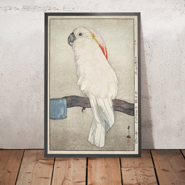 A framed image of 