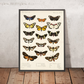 A framed image of 