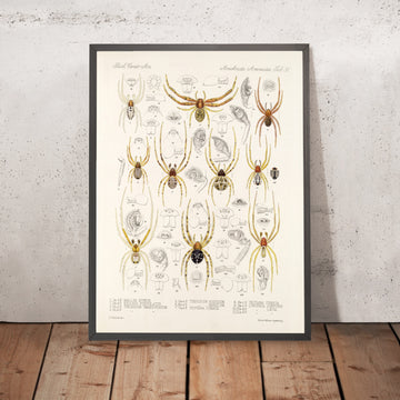 A framed image of 