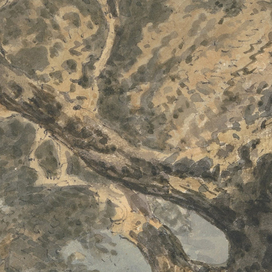 Ein großer Baum von Turner, 1796 