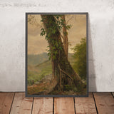 Tree with Vines, Jamaica, West Indies by Frederic Edwin Church, 1865