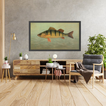 A framed image of 