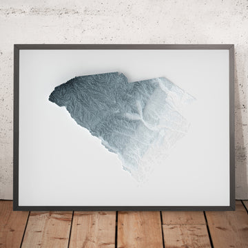Un’immagine incorniciata di una mappa topografica in stile 3D della Carolina del Sud