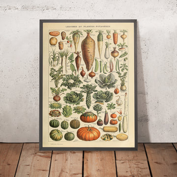 A framed image of Legumes by Adolphe Millot, 1890