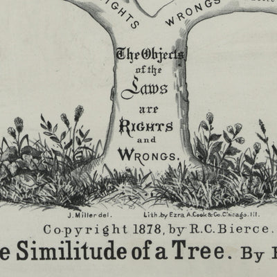 Affiche de cabinet d'avocat, 1878 : Le droit commun comme un arbre par RC Bierce, 1878 