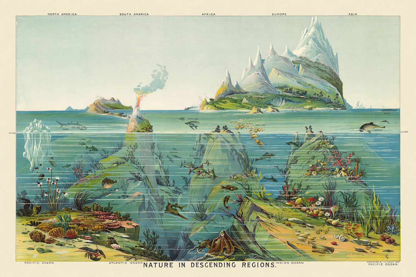 La nature dans les régions descendantes de Levi Walter Yaggy, 1893