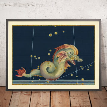 Antica mappa stellare di Piscis Austrinus (Pesce Meridionale) di Johann Bayer, 1603 - Carta delle costellazioni celesti 