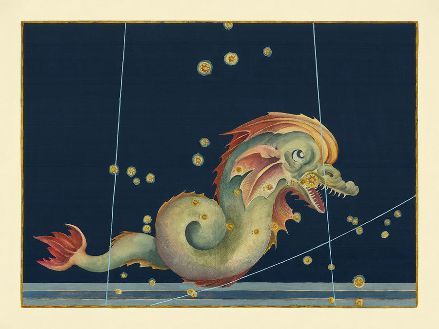 Antica mappa stellare di Piscis Austrinus (Pesce Meridionale) di Johann Bayer, 1603 - Carta delle costellazioni celesti 