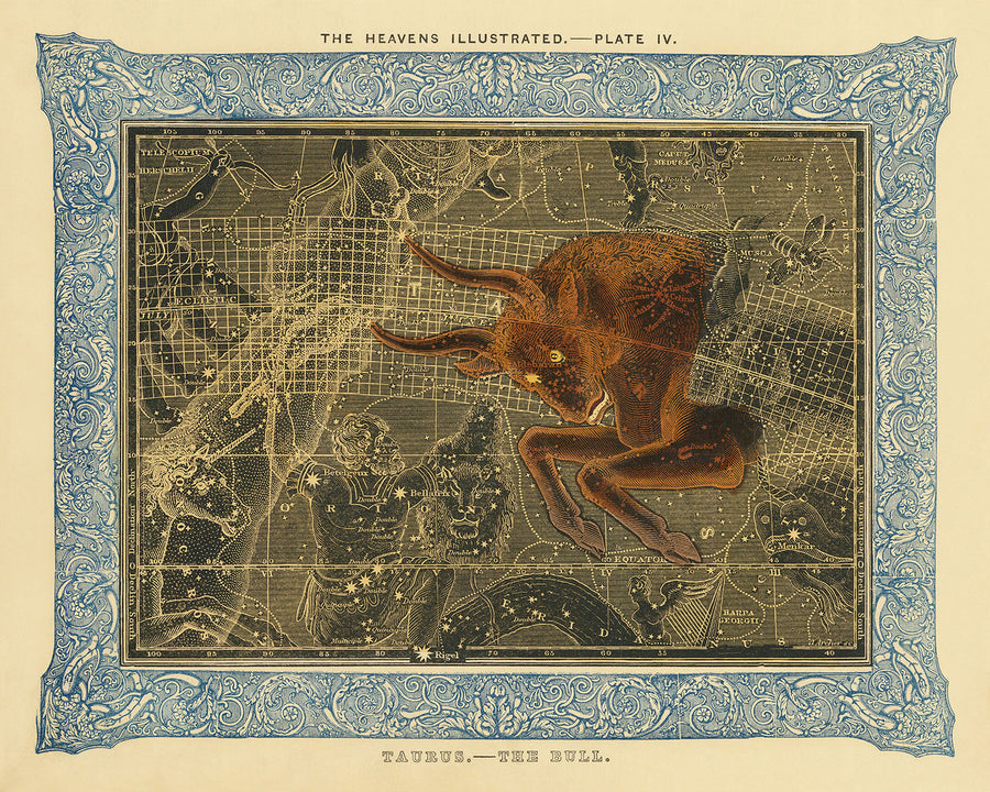 Toro, Il Toro di Duncan Bradford, 1837 