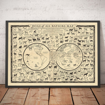 Mappa dei Cani Vecchi, 1936 - Carta dell&