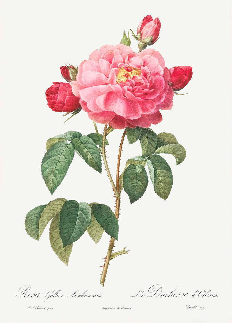 Visualiser thumbnail artwork