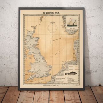 Antiguo mapa de peces de eglefino del Mar del Norte, 1883 por O.T. Olsen - Pesca de eglefino, distribución, desove, etc.