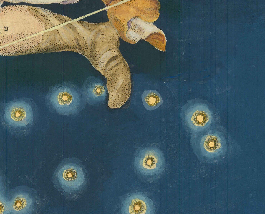 Antica mappa stellare dell&