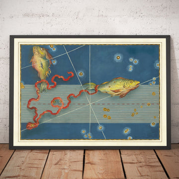 Old Star Map of Poisses, 1603 par Johann Bayer - Zodiac Astrology Chart - The Fish Horoscope Sign