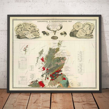 Antiguo mapa geológico y paleontológico de Escocia, 1854, por A.K. Johnston y Edward Forbes - Raro gráfico de pared de fósiles